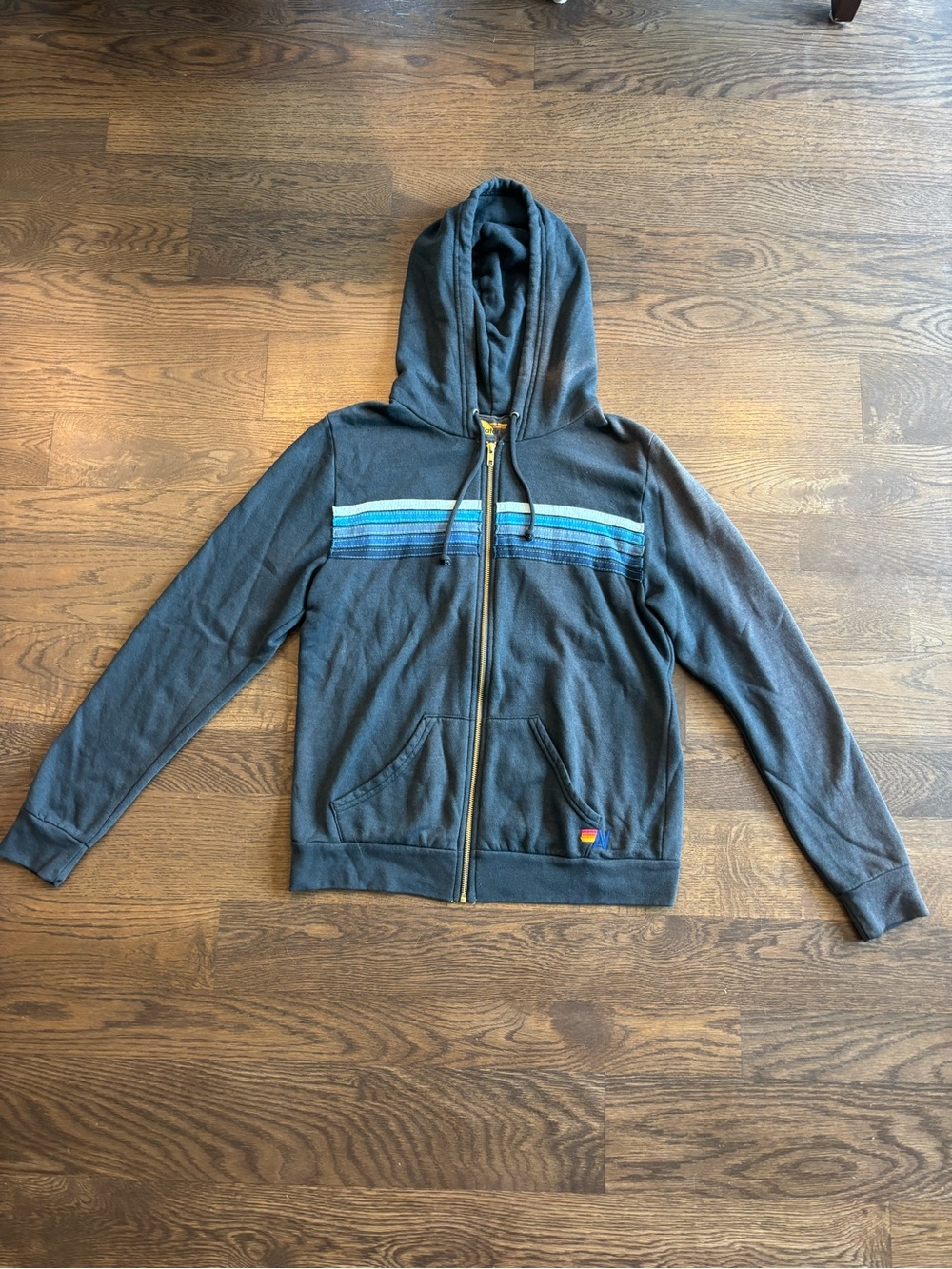 Aviator Nation Charcoal Zip Hoodie with Blue Stripe